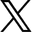 X Icon